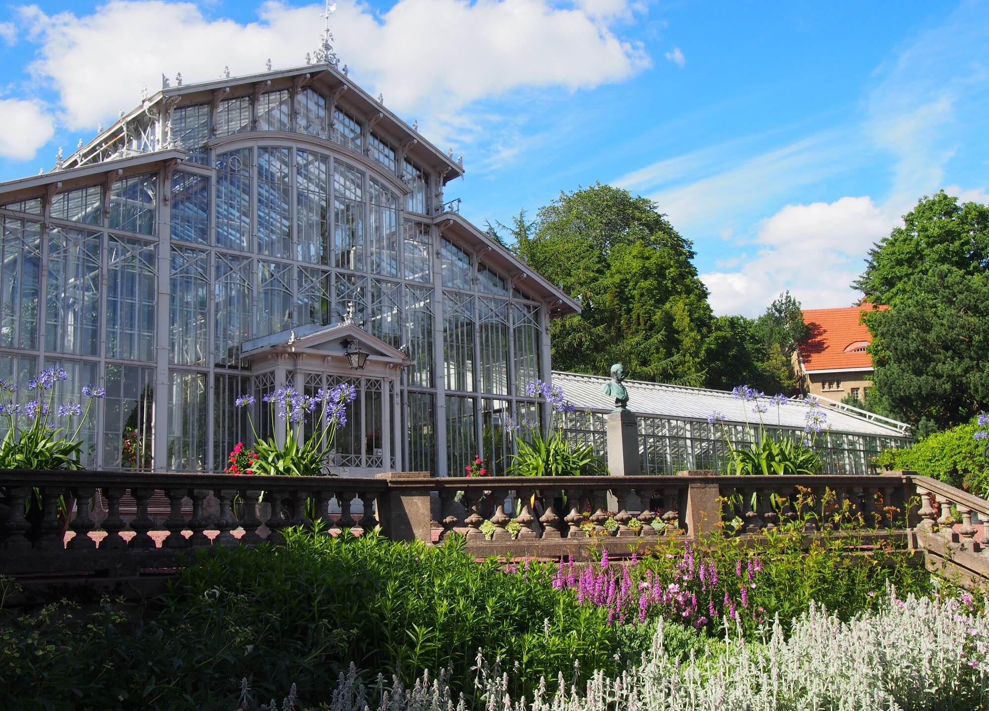 Kasvihuone mäellä ruusuja edessä